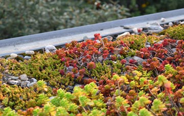 the cost of Newmilns green roof installation