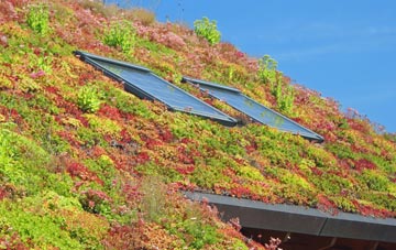 Newmilns living roof systems