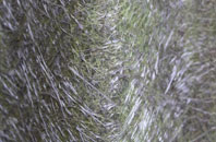 Newmilns fibreglass roof work